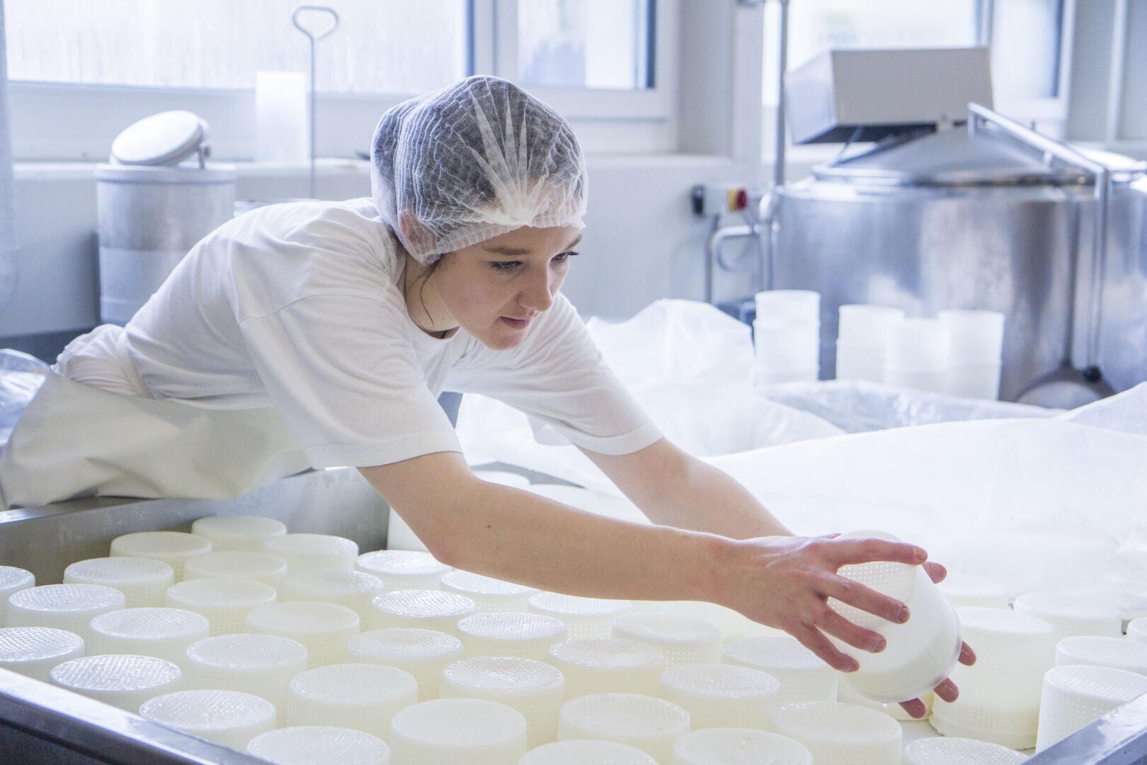 Eine Person mit Haarnetz und weißer Schürze arrangiert runde Formen in einer Molkerei, die wahrscheinlich Käse herstellt, mit großen Fässern und Industrieanlagen im Hintergrund.
