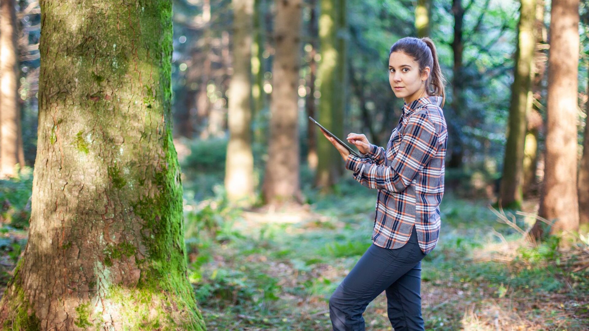 Eine Frau in einem karierten Hemd steht in einem sonnenbeschienenen Wald, hält ein Tablet in der Hand und schaut in die Kamera. Hohe Bäume und grünes Laub umgeben sie und schaffen eine friedliche Atmosphäre im Freien.