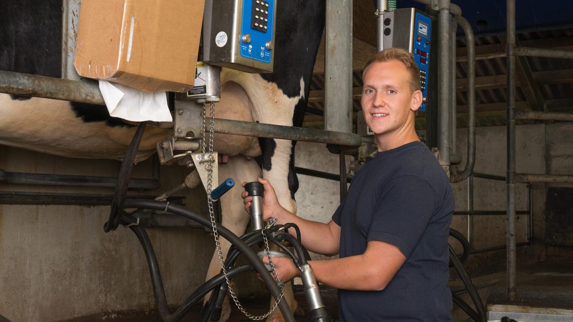 Ein Mann in einem marineblauen Hemd steht in einem Stall und lächelt in die Kamera, während er eine Melkausrüstung an das Euter einer Milchkuh hält, während in der Nähe Maschinen und eine Pappschachtel angebracht sind.