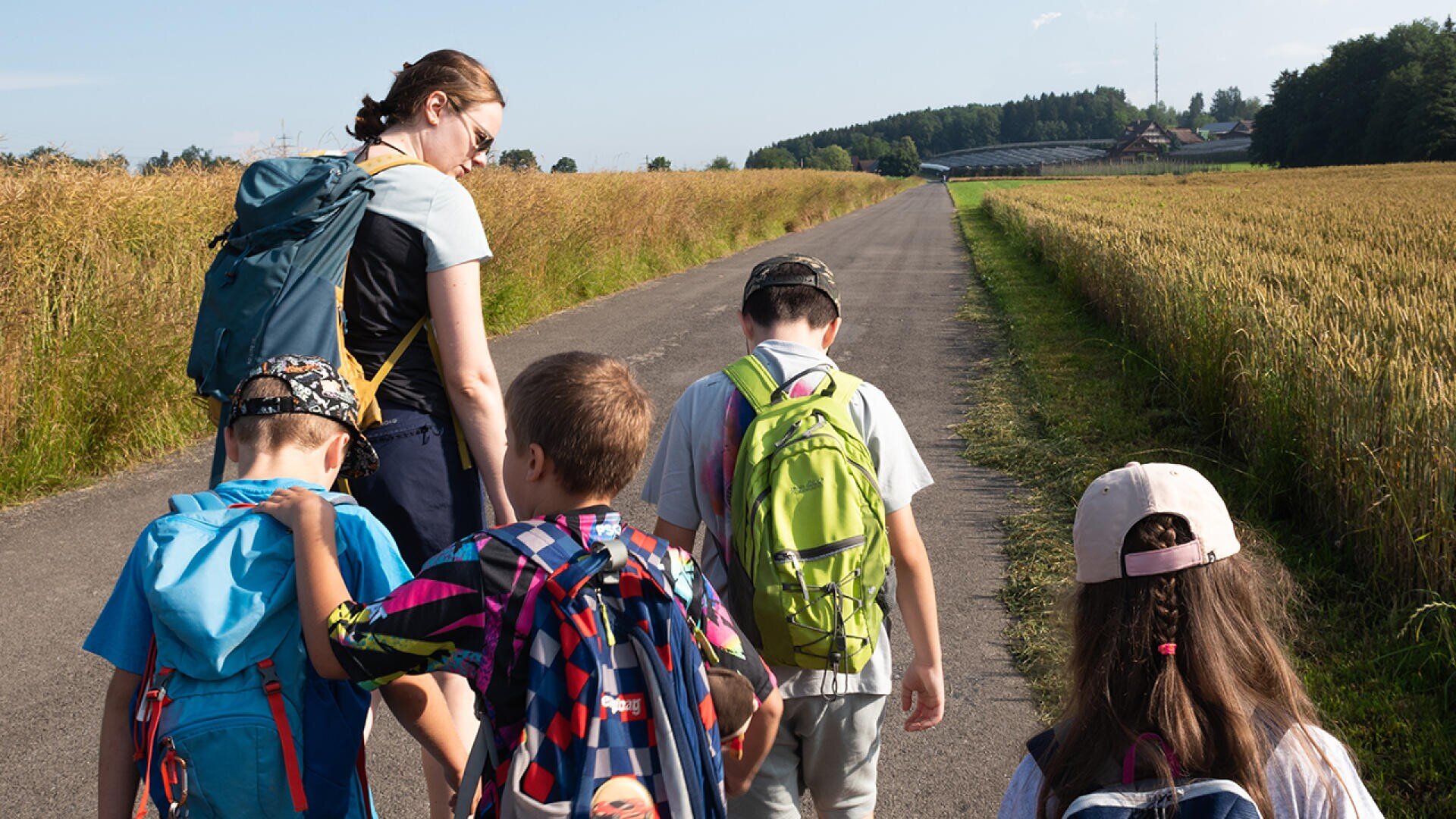 Eine Frau und vier Kinder mit Rucksäcken gehen an einem sonnigen Tag bei klarem Himmel eine von goldenen Feldern gesäumte Landstraße entlang in Richtung einer entfernten Baumgrenze.