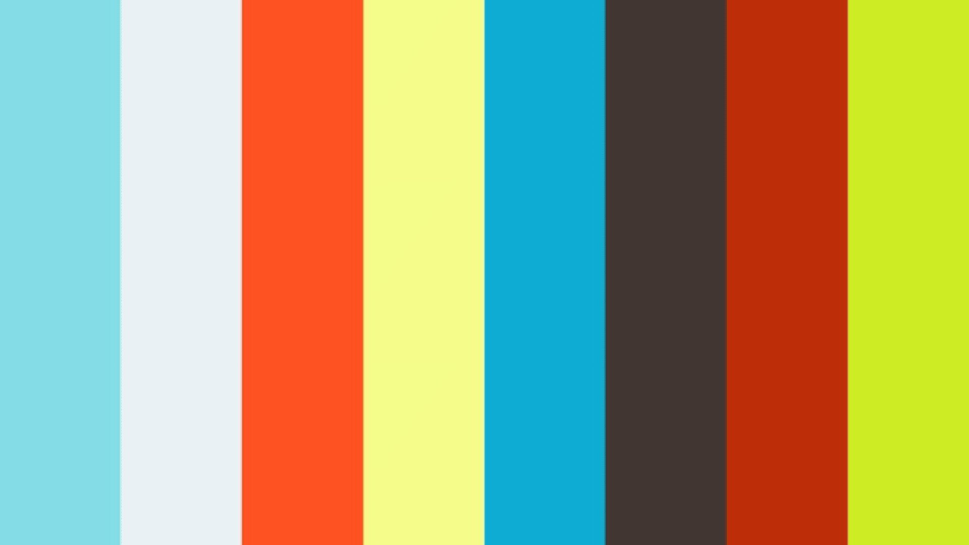 Acht vertikale Streifen in verschiedenen Volltonfarben: hellblau, hellgrau, leuchtend orange, gelb, hellgelb, dunkelbraun, rot und leuchtend gelb-grün.