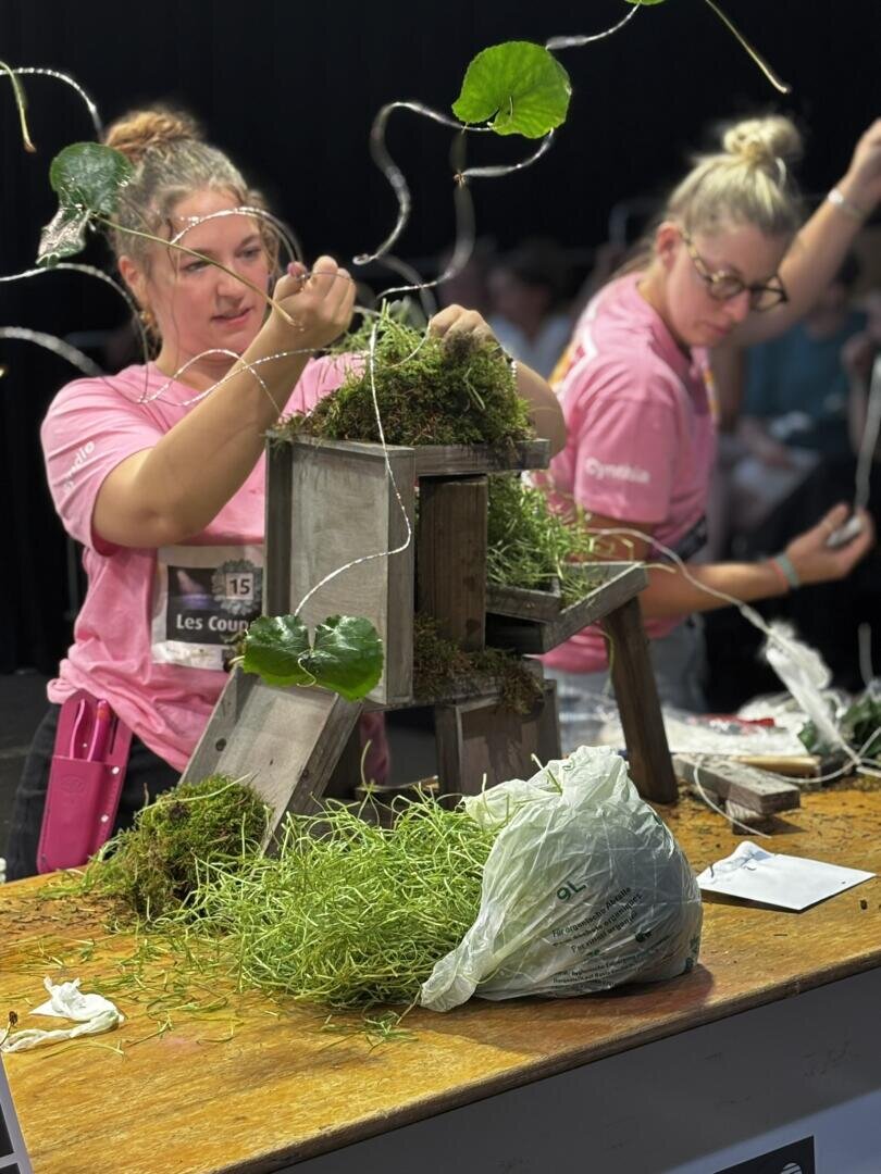 Zwei Frauen in rosa Hemden arrangieren Grünpflanzen und Moos auf einer Holzkonstruktion an einem Tisch, möglicherweise im Rahmen eines Wettbewerbs oder eines Workshops. Auf dem Tisch liegen verschiedene Materialien und eine Plastiktüte mit Pflanzen.